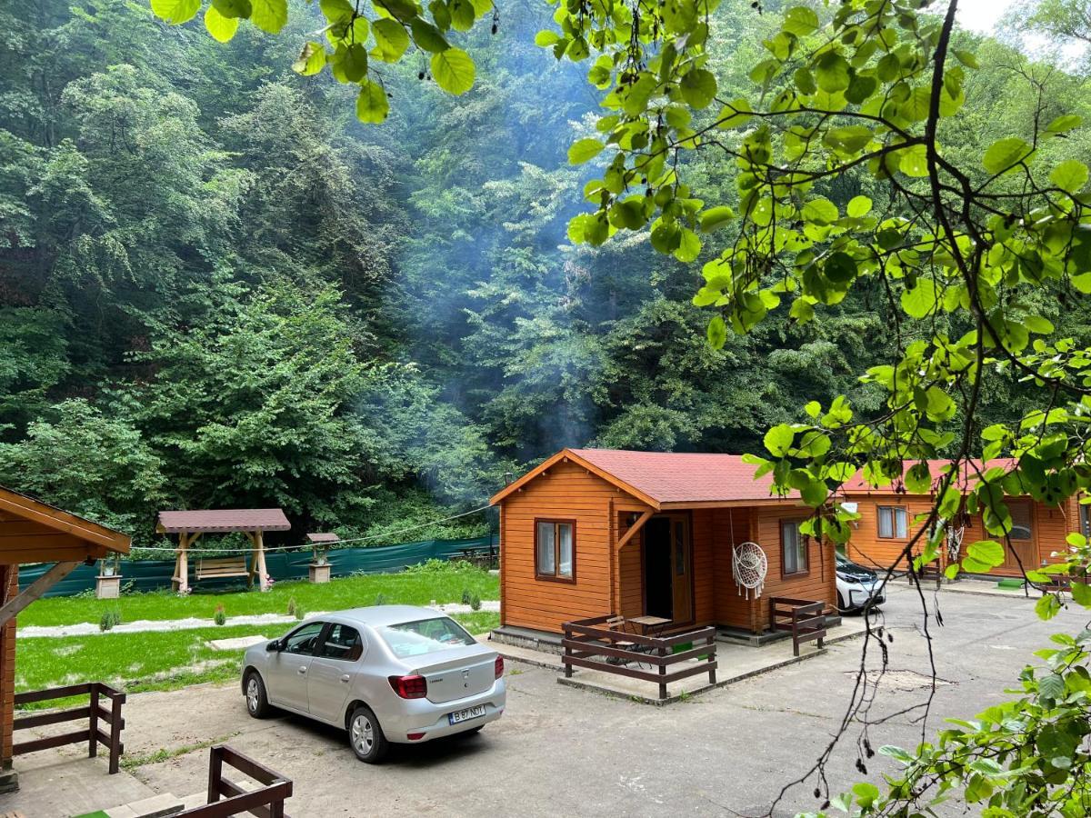 Sound Of Nature Tismana Bagian luar foto